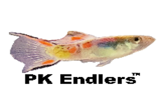 PKEndlers Logo