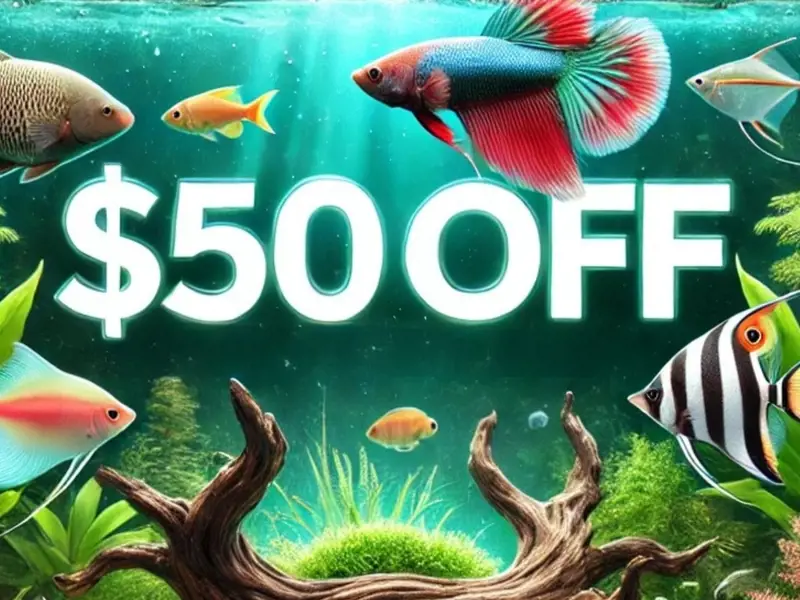 $50 OFF Coupon