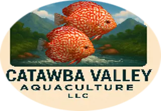 Christopher Golightly