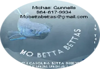 Mo Betta Bettas Logo