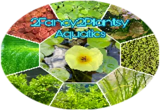2Fancy2Plantsy
