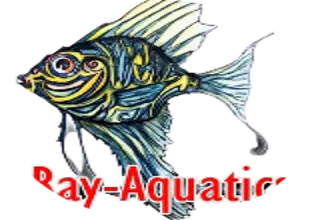 RayAquatics Logo