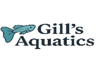 Gills Aquatics