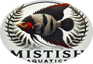 MISTISH AQUATICS