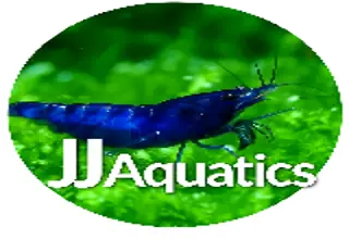 Joey Logo