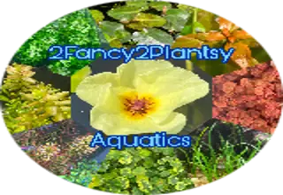 2Fancy2Plantsy
