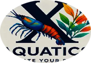 XAquatics